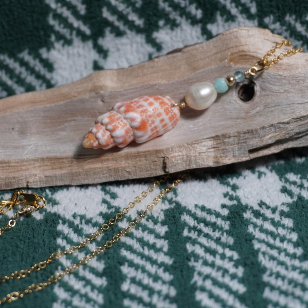 Miter Shell Necklace